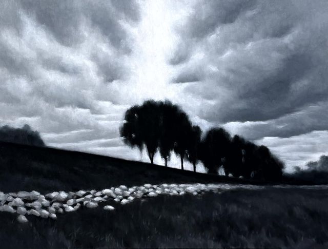 Rift by John Hayduk