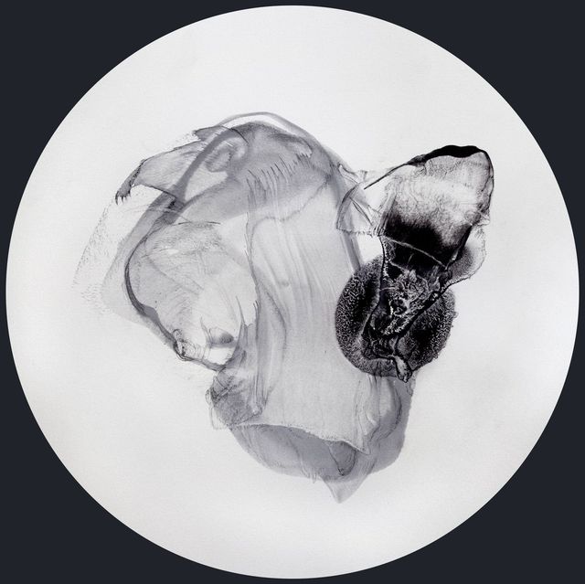 Cells/Selves (Epicene Tondi 002a) by Patti Jordan