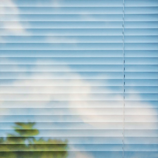 June, Isabelle Schneider