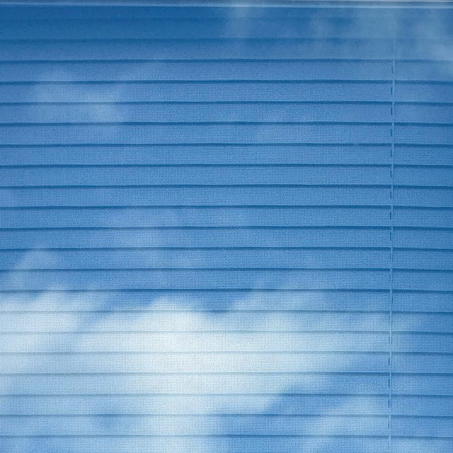 Skywoven, Isabelle Schneider