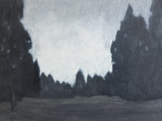 Copse, John Hayduk