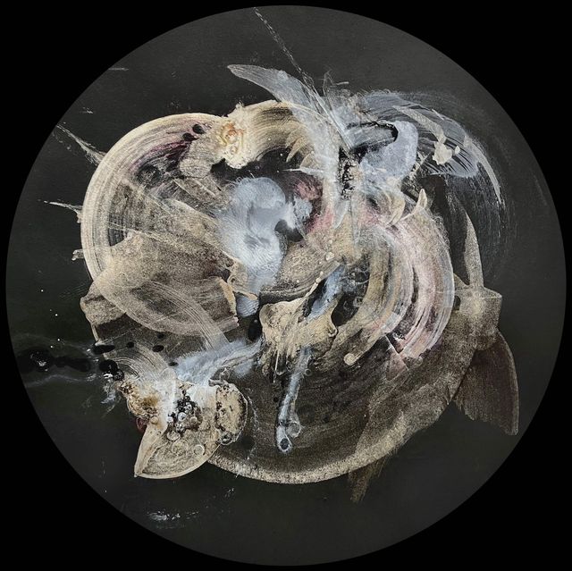 Cosmogeny (Anonymous Star Cluster 009K), Patti Jordan