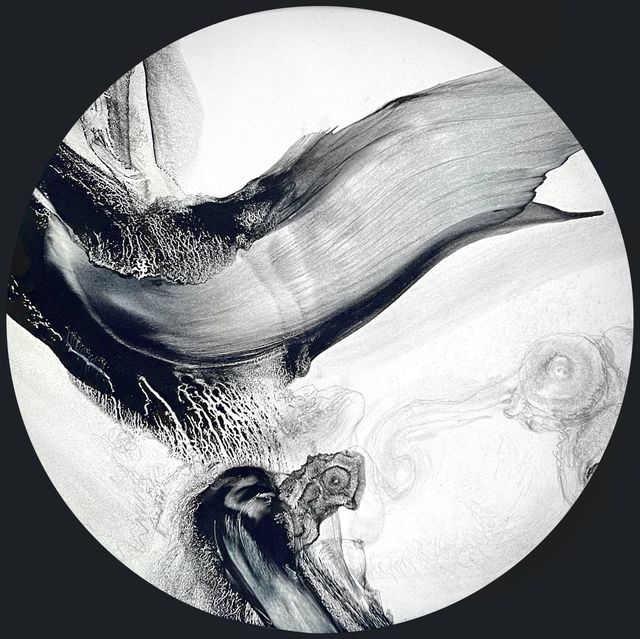 Cells/Selves (Cross-Over 025q), Patti Jordan