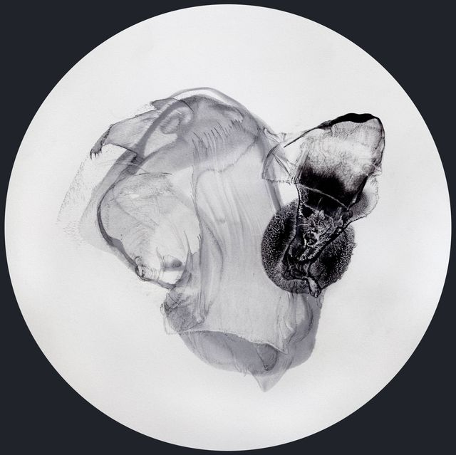 Cells/Selves (Epicene Tondi 002a), Patti Jordan