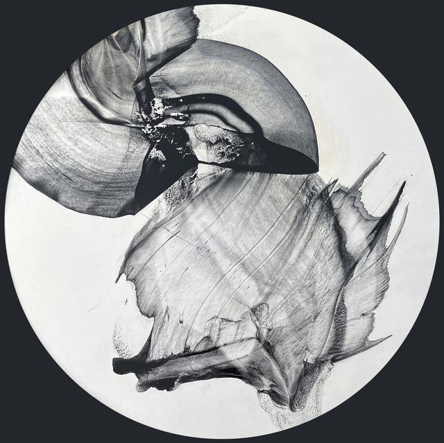 Cells/Selves (Inter-Crosser 025b), Patti Jordan
