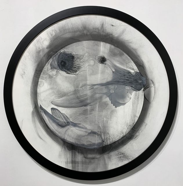 Cells/Selves (Zygote 007), Patti Jordan