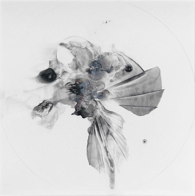 Cells/Selves (Zygote 009), Patti Jordan